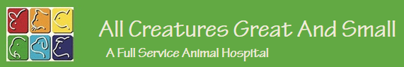 Animal Hospital - Logo